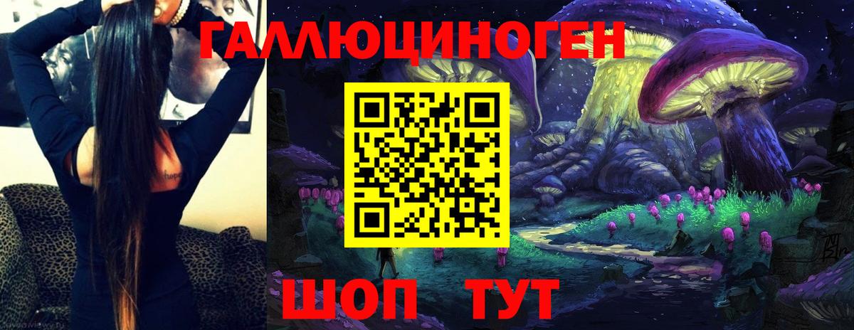Псилоцибиновые грибы Psilocybine cubensis  Псилоцибиновые грибы мицелий  купить наркотик  Назарово  Вход с VPN 